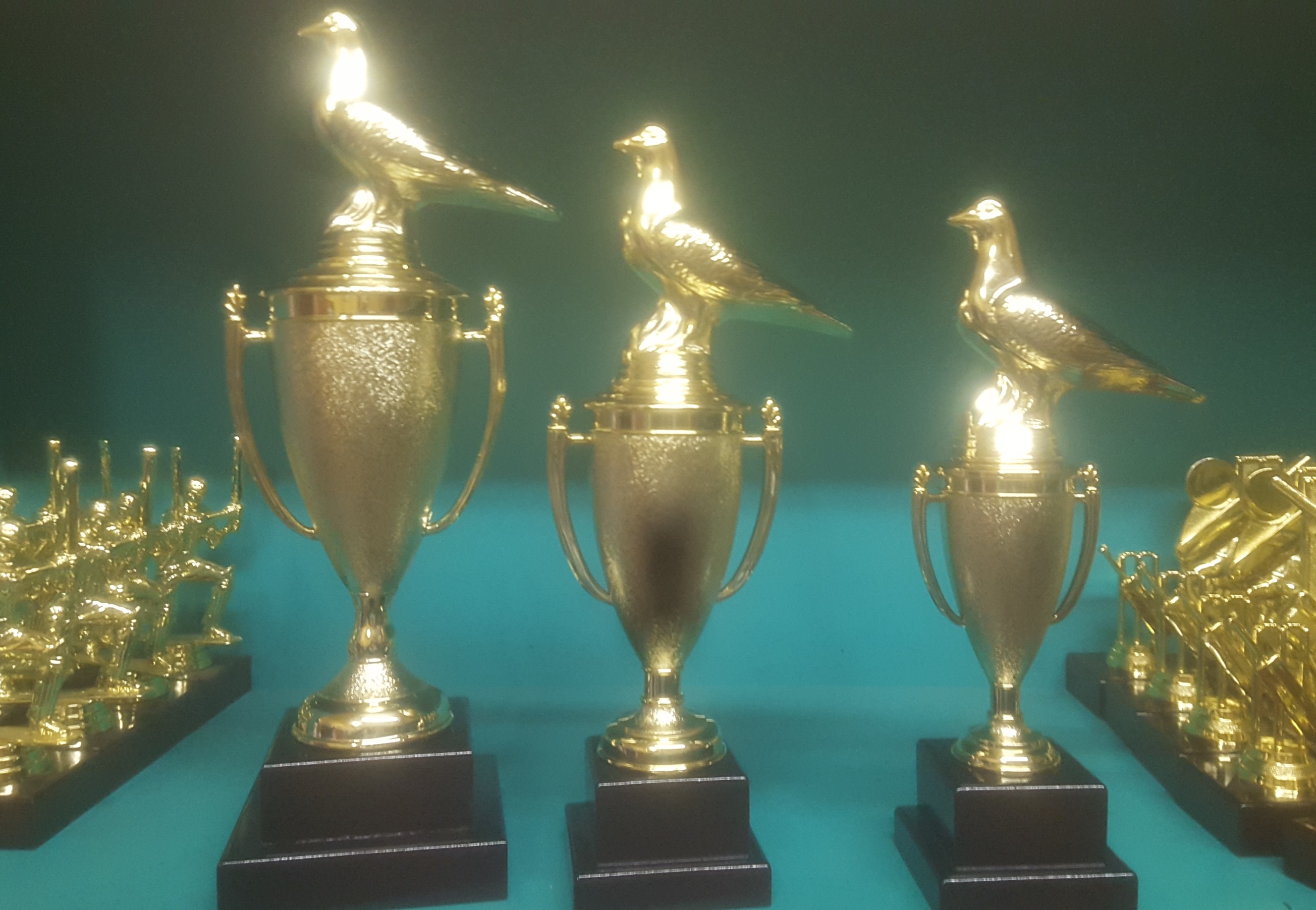 GLENLEA TROPHIES AND ENGRAVERS(pty)LTD